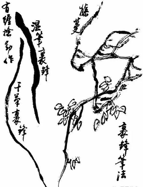 (巨龙怎么画一步一步画)巨龙之息绘画技巧与步骤详解：如何轻松画出栩栩如生的巨龙