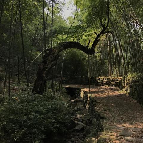 青箱杂记：探寻古老村落的记忆与故事，沉淀岁月痕迹的心灵之旅
