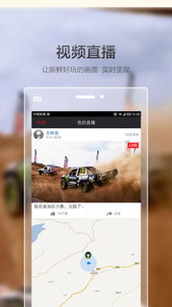 2023年度最佳电子相册软件APP排行榜，精选功能全面的应用推荐与使用体验分享