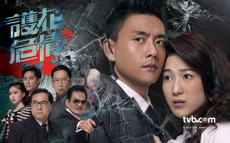 (守护人电视剧50集剧情介绍)观看《守护人》电视剧50集免费完整版，畅享不一样的视听盛宴