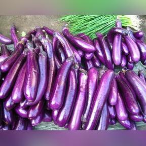 茄子快传电脑版创建热点失败原因及解决方法详解，让你轻松搞定网络分享问题